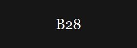B28