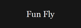 Fun Fly