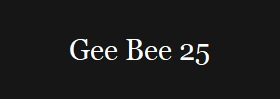 Gee Bee 25